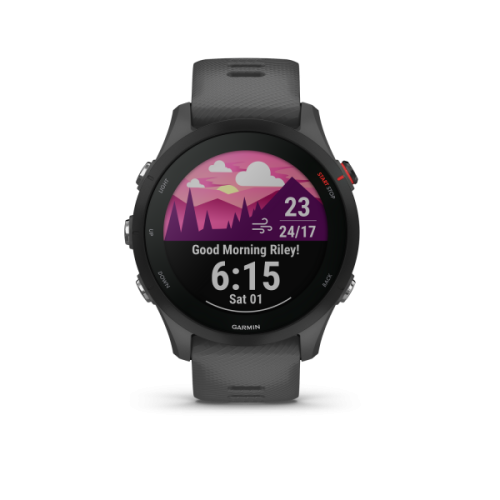 GARMIN Forerunner 255 Basic Slate Grey