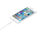 APPLE USB-naar-Lightning Oplaadkabel 1 m Wit