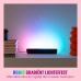 WIZ Gradient Light Bars - WiZ Entertainment - RGBIC: Meerdere kleuren tegelijk - Eenvoudige installatie - 30 cm Slimme binnenarmatuur Zwart