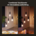 PHILIPS HUE Filament standaardlamp A60 E27 WA