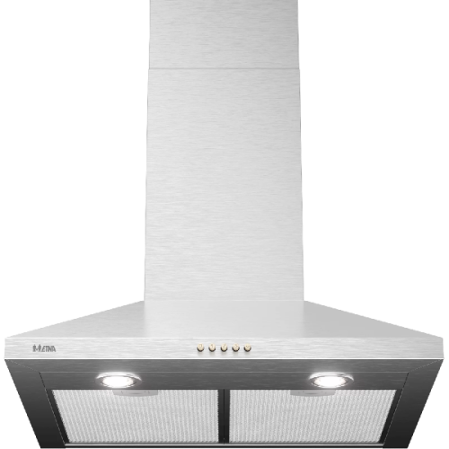ETNA AP460RVS - Afzuigkap (Muur bevestigde kap) - breedte 60 cm - 435 m³/h