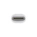APPLE Thunderbolt 3 naar Thunderbolt 2 Adapter Wit