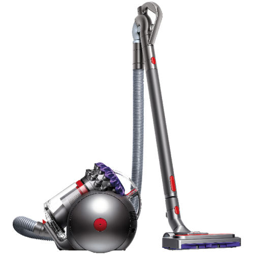 DYSON Big Ball Parquet 2 Paars