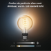 PHILIPS HUE Filament globelamp G93 E27 WA klein