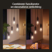 PHILIPS HUE Filament edisonlamp ST72 E27  WA