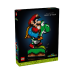 LEGO SUPER MARIO 71438 Super Mario World: Mario en Yoshi Bouwstenen