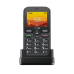 DORO LEVA L10 4G Senior Barphone met SOS button - 17 MB Zwart