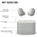 SONY WF-1000XM6 In-ear Draadloze oordopjes Zilver
