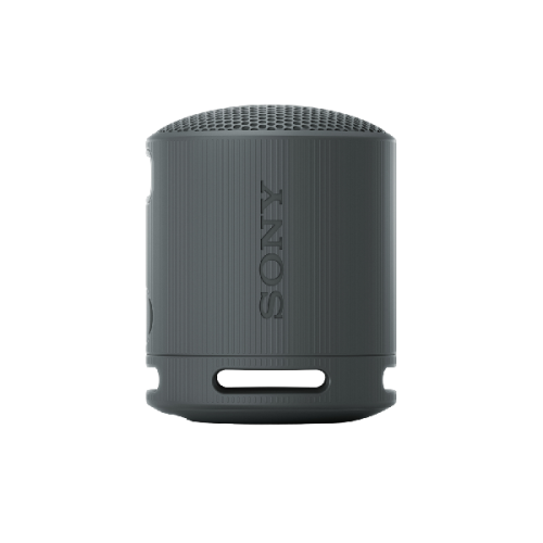 SONY SRS-XB100 Zwart