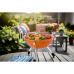 FRITEL A501 Charcoal & Electric BBQ 2 in 1 Elektrische barbecue Oranje