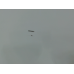 ETNA KCD6178NF - Inbouw Koel-vriescombinatie - NoFrost - Nishoogte 179 cm