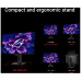 ASUS ROG Strix OLED XG27AQWMG - 26.5 inch - QHD - WOLED