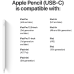 APPLE Pencil (USB-C)