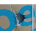 BEKO CF316EWN Vrieskist - breedte 112 cm - hoogte 84.5 cm  - inhoud 308 l Vriezer
