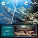 PHILIPS 32PFS6000/12 - Full HD - Led-tv - 32 inch - 2025