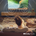 PHILIPS 32PFS6000/12 - Full HD - Led-tv - 32 inch - 2025