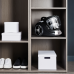 ROWENTA RO4B25 Compact Power XXL - Stofzuiger - Met Zakloze technologie - Zwart/grijs